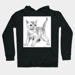 Cute little fluffy kitten! Hoodie